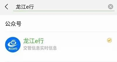 哈尔滨电子交警违章查询,哈尔滨交警网违章查询系统