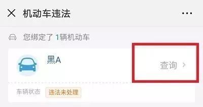 哈尔滨电子交警违章查询,哈尔滨交警网违章查询系统