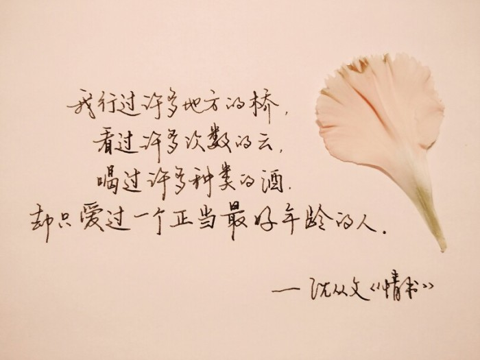 手写唯美的句子七月_晶羽科技