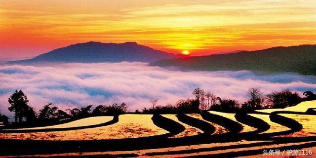 云南16个地级市、自治州，从云A到云S，你最喜欢哪个