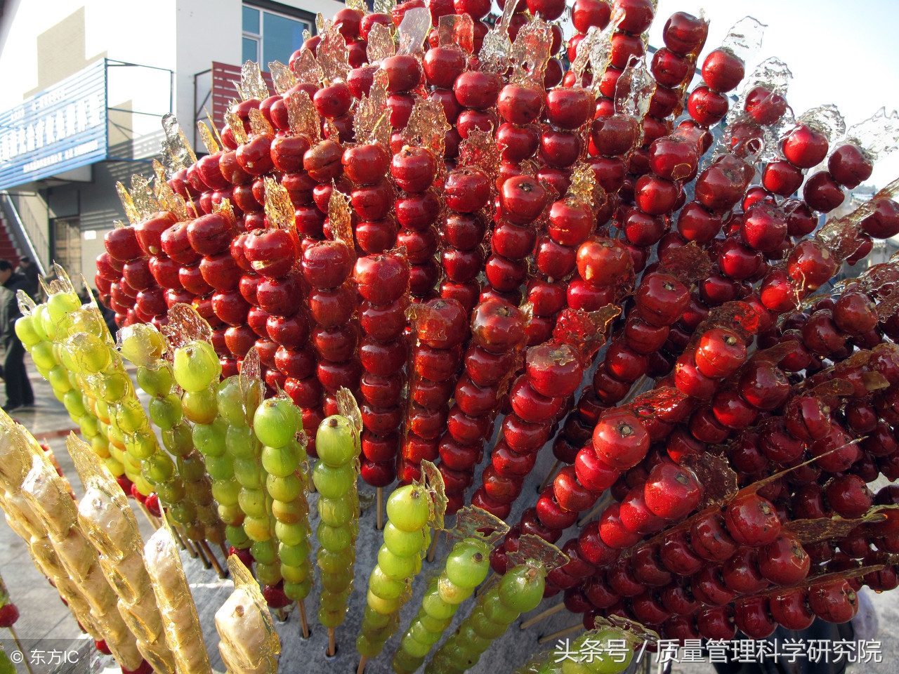 价值50万的VDA6.3经典案例，值得珍藏-质天下