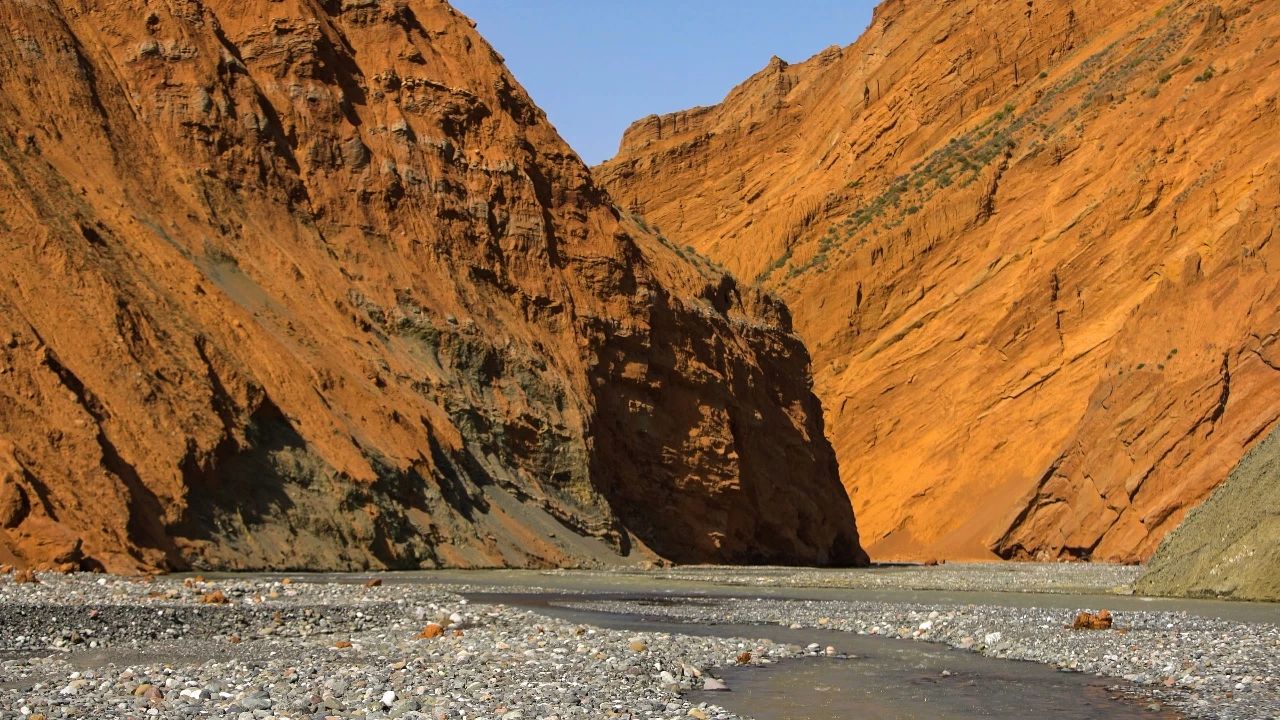 康恒保险,康恒保险公司