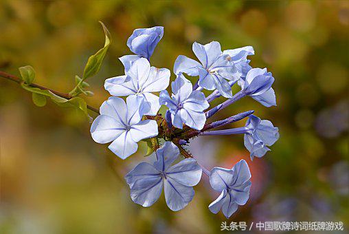 “飞花令”——日，66首含“日”的经典古诗词名句汇编