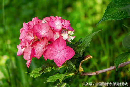 “飞花令”——日，66首含“日”的经典古诗词名句汇编