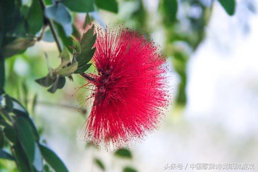 “飞花令”——日，66首含“日”的经典古诗词名句汇编