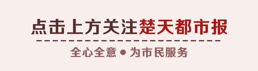 豬寶是什么,豬寶是什么東西