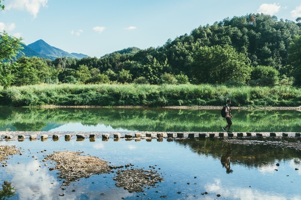 丽水古堰画乡：岁月静好，择一方山水而栖