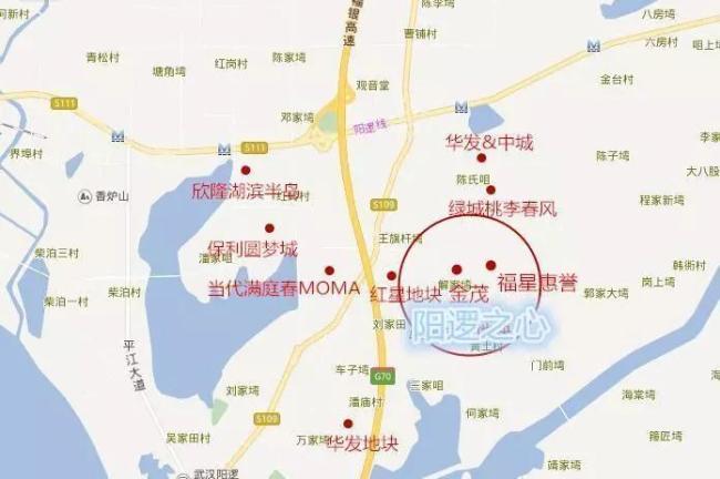 50亿！武汉第5个万达广场落户此区 还有10余家房企扎堆！