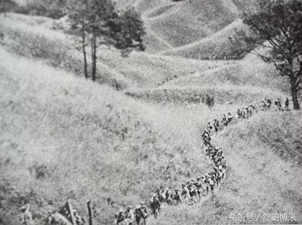 46军137师，四野冀东雄师，师长肖全夫后曾指挥珍宝岛自卫反击战