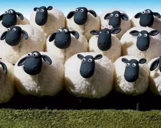 羊群效应是什么意思啊，认识投资中的羊群效应？