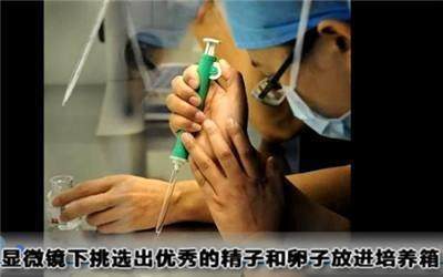 试管婴儿是怎么回事？解密试管婴儿全过程，原来这么神奇！