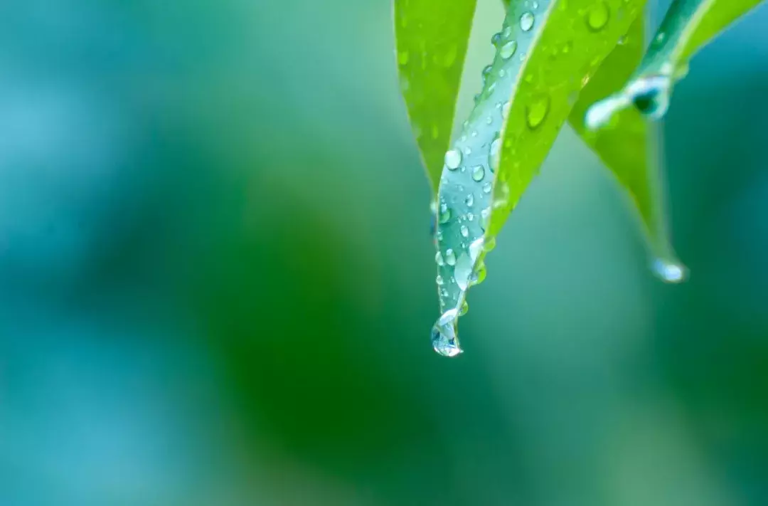 十首夏雨诗词：原来夏雨这么美