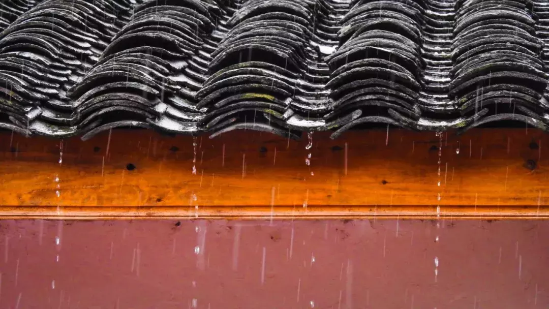 十首夏雨诗词：原来夏雨这么美