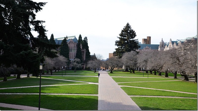 华盛顿大学西雅图，美国排54名，在世界却是TOP10？