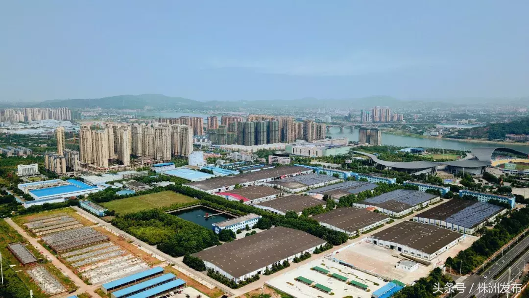 要闻:株洲3所学校成为全国国防教育示范校丨市民遇不文明养犬行为可举报