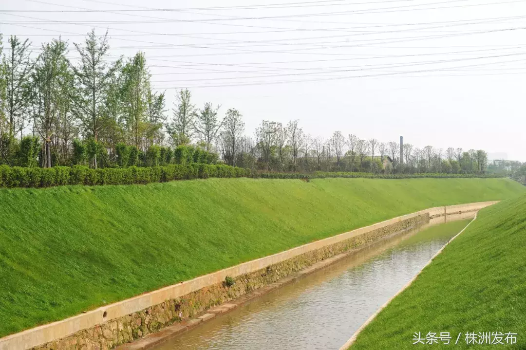 要闻:株洲3所学校成为全国国防教育示范校丨市民遇不文明养犬行为可举报