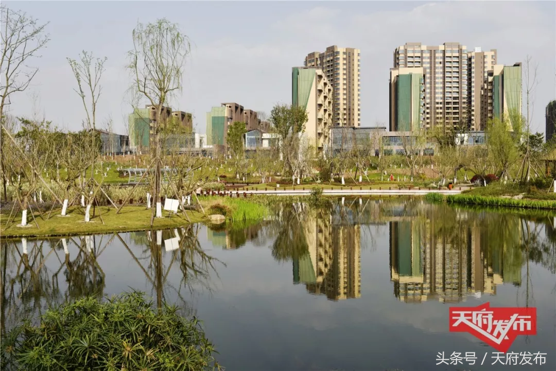 近十万青年人才为什么选择落户天府新区，他们这样说……
