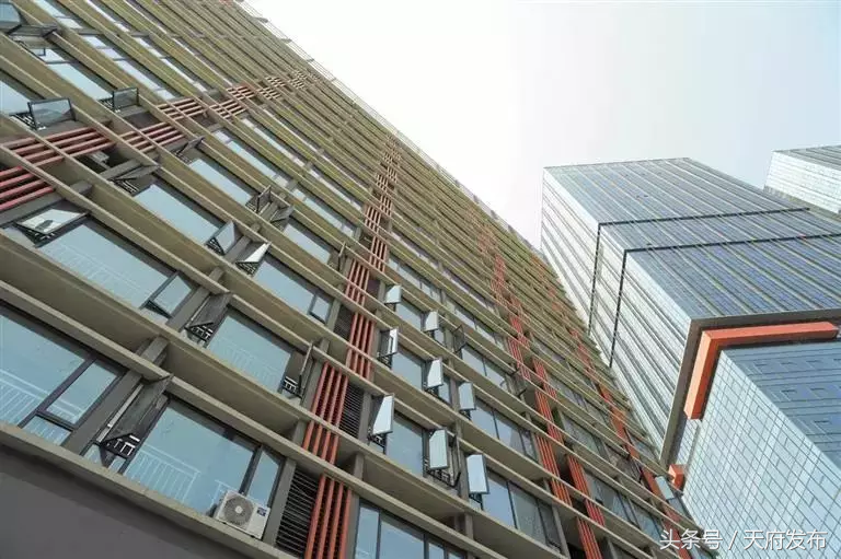 近十万青年人才为什么选择落户天府新区，他们这样说……