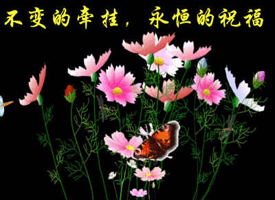 新的一天，新的希望，感谢一路陪伴我的朋友们！