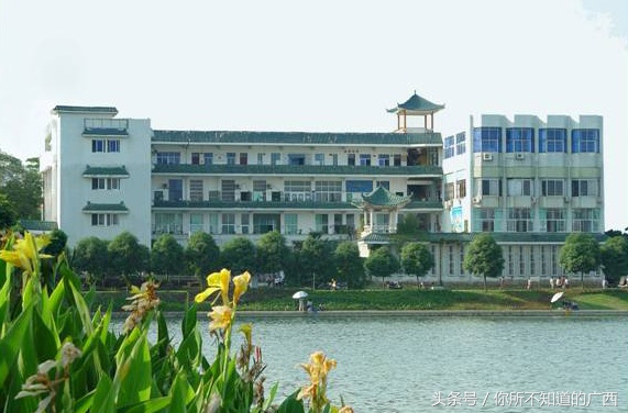 广西南宁的几个图书馆，也许对你有用，可以收藏一下