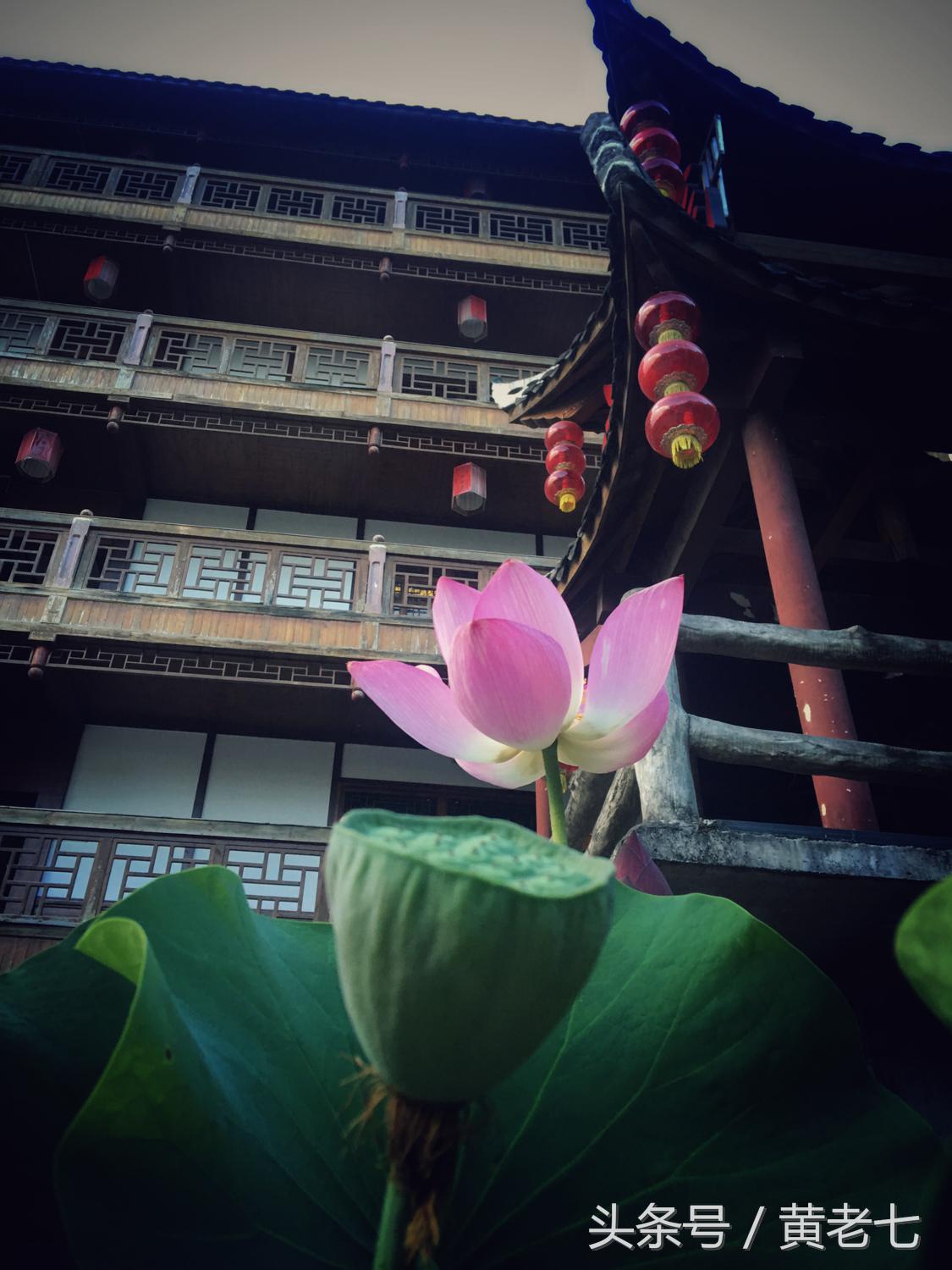 去重庆避暑？没有骗你！而且石柱土家族自治县是首选的避暑圣地