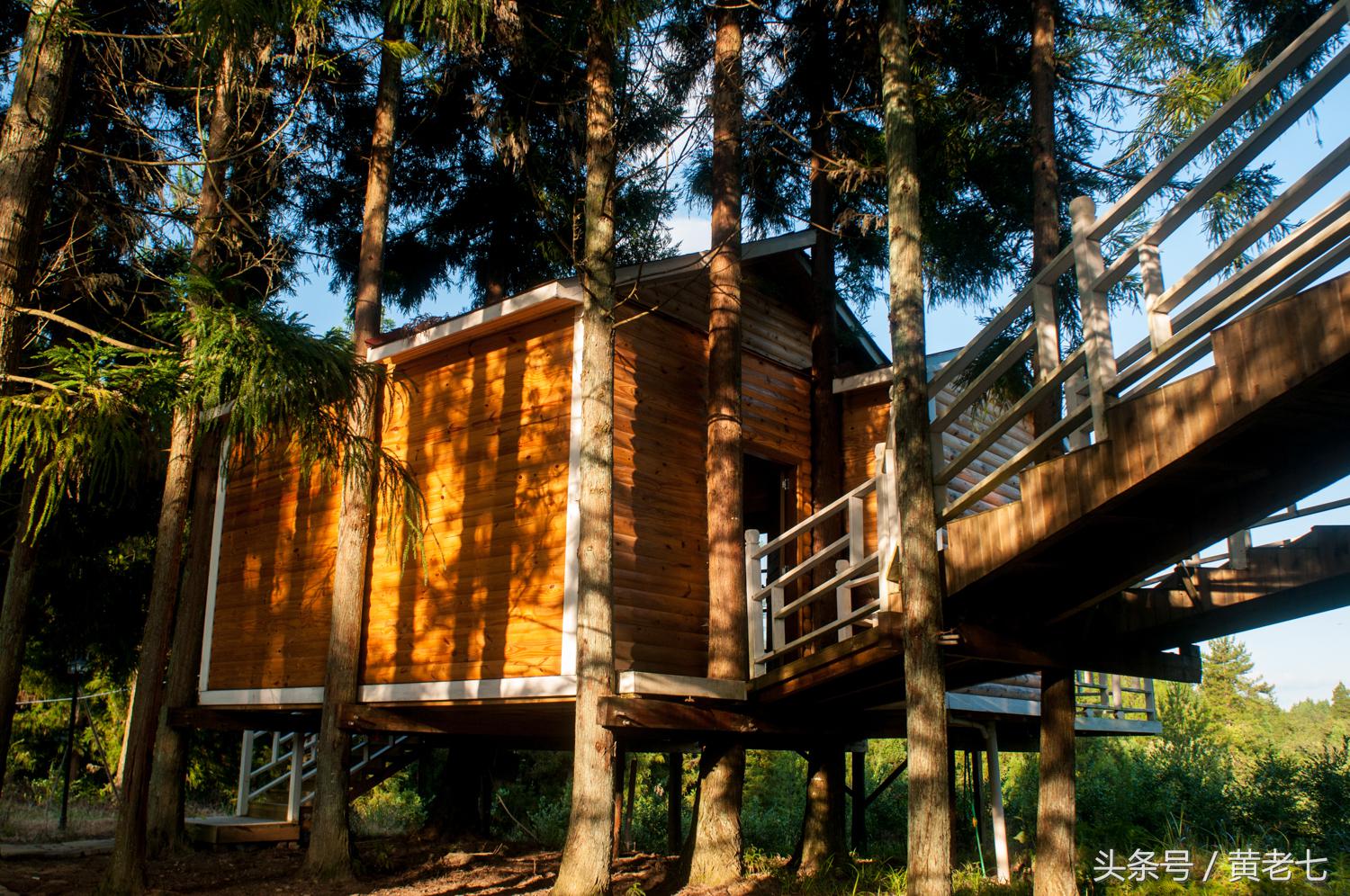 去重庆避暑？没有骗你！而且石柱土家族自治县是首选的避暑圣地