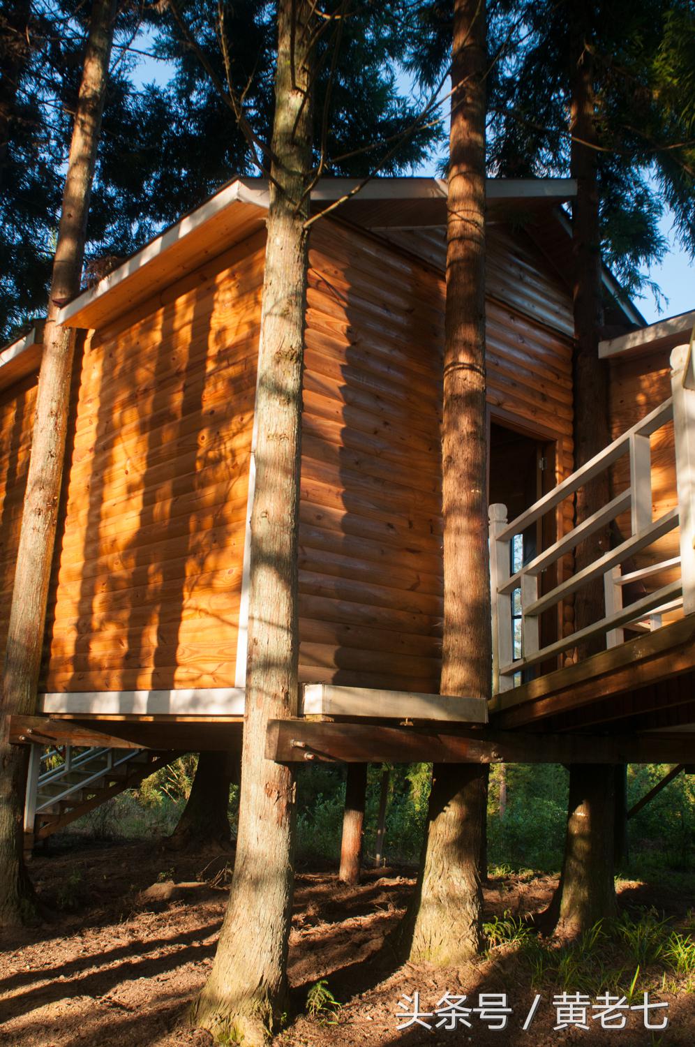 去重庆避暑？没有骗你！而且石柱土家族自治县是首选的避暑圣地