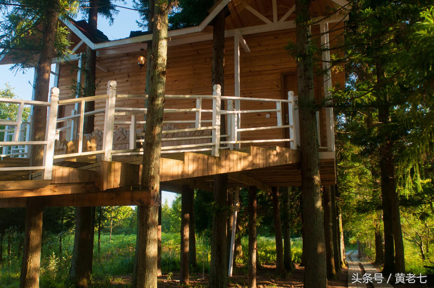 去重庆避暑？没有骗你！而且石柱土家族自治县是首选的避暑圣地