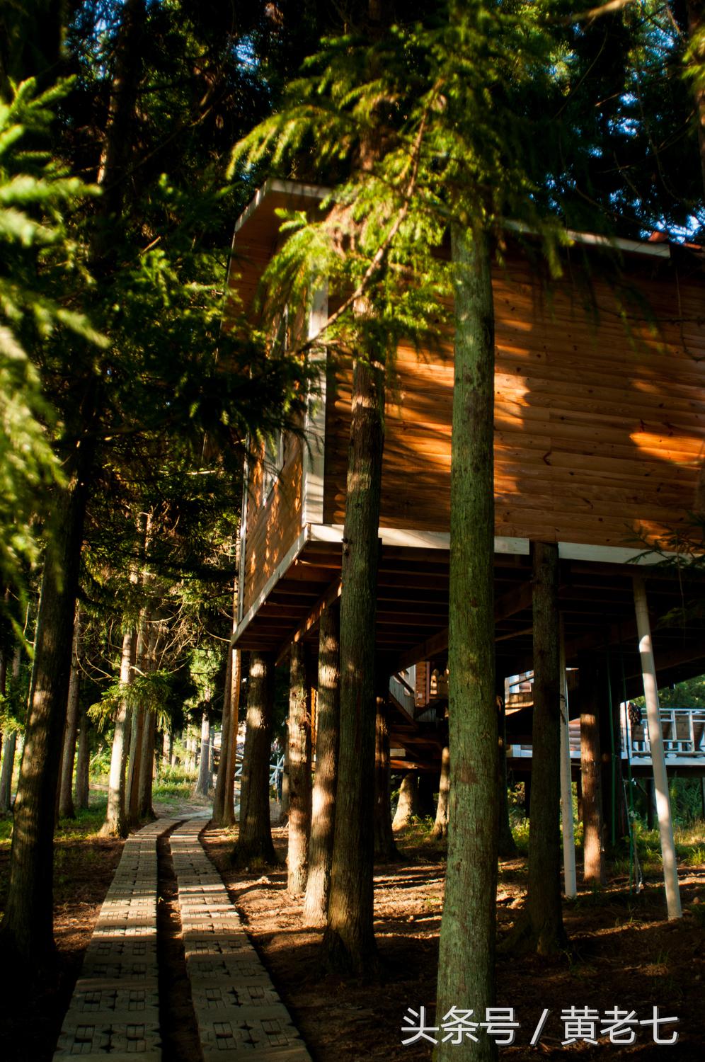 去重庆避暑？没有骗你！而且石柱土家族自治县是首选的避暑圣地