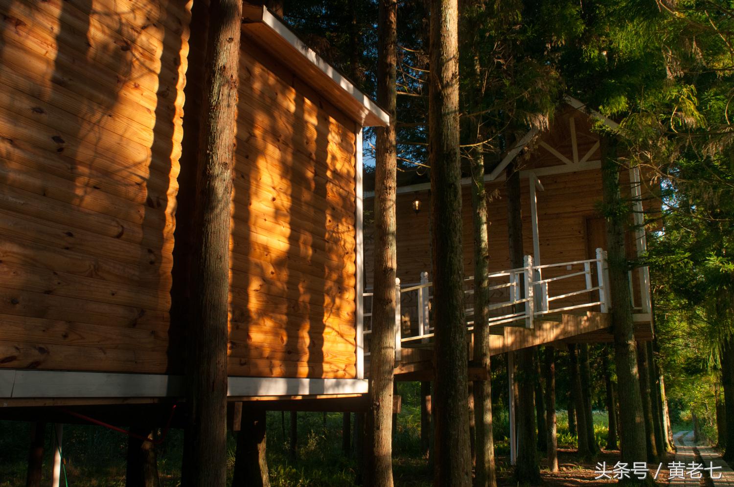 去重庆避暑？没有骗你！而且石柱土家族自治县是首选的避暑圣地