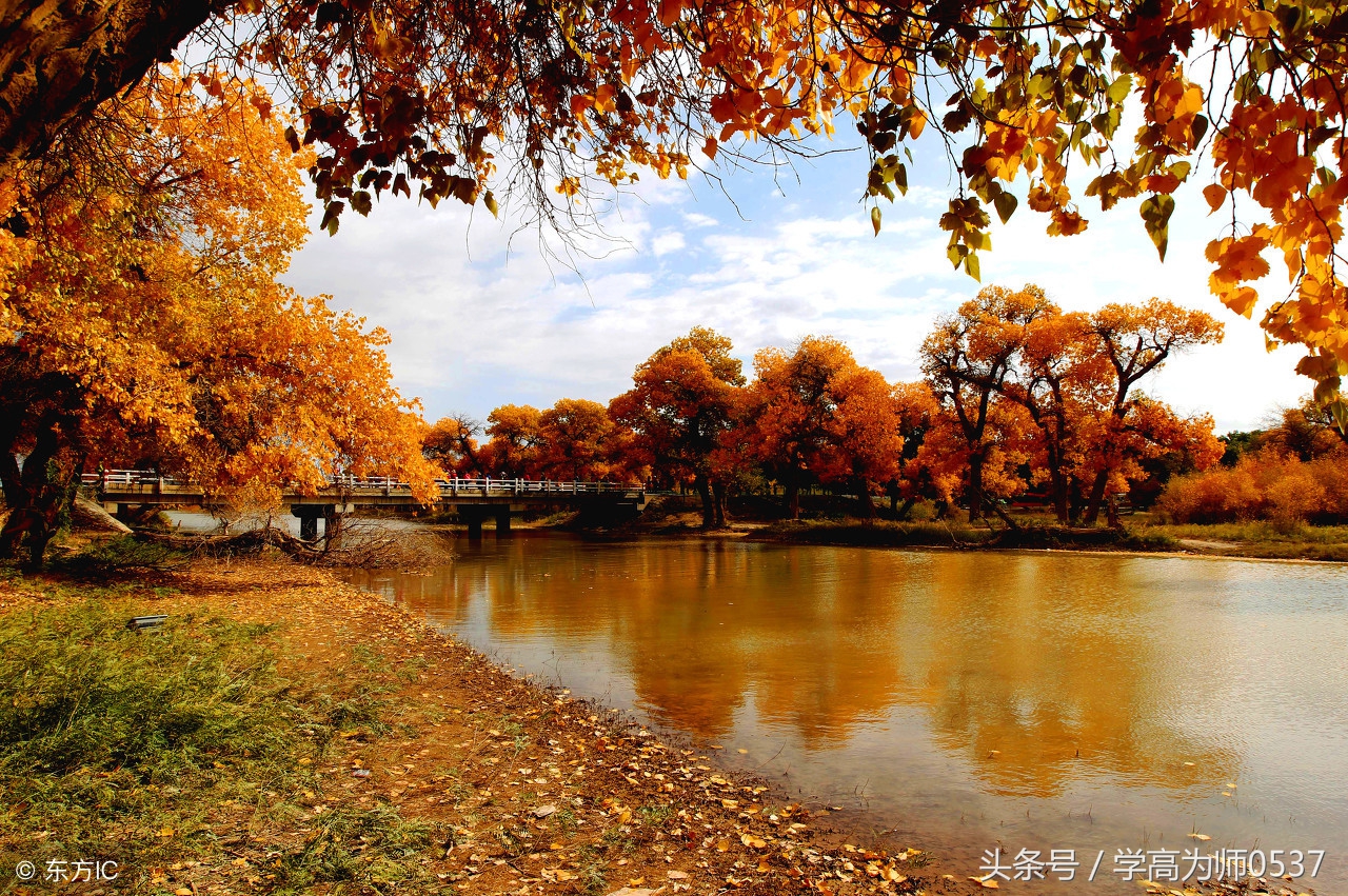 秋天的诗句有哪些 描写秋天景色优美古诗