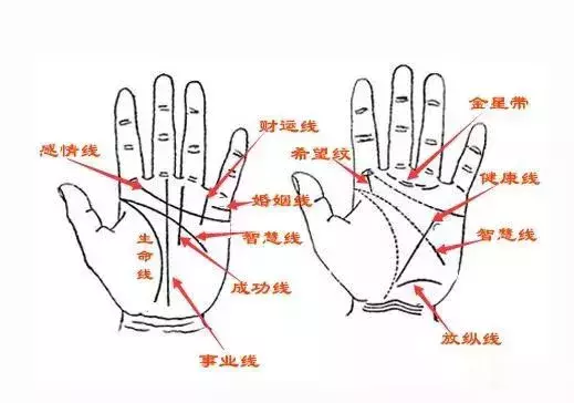 手中最重要的3根线，代表着什么含义？