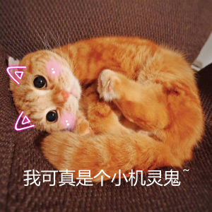 PDF转CAD图纸实用教程：高效精准转换方法