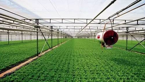 农业农村部发布19种农业补贴，这些条件，看你符合吗？