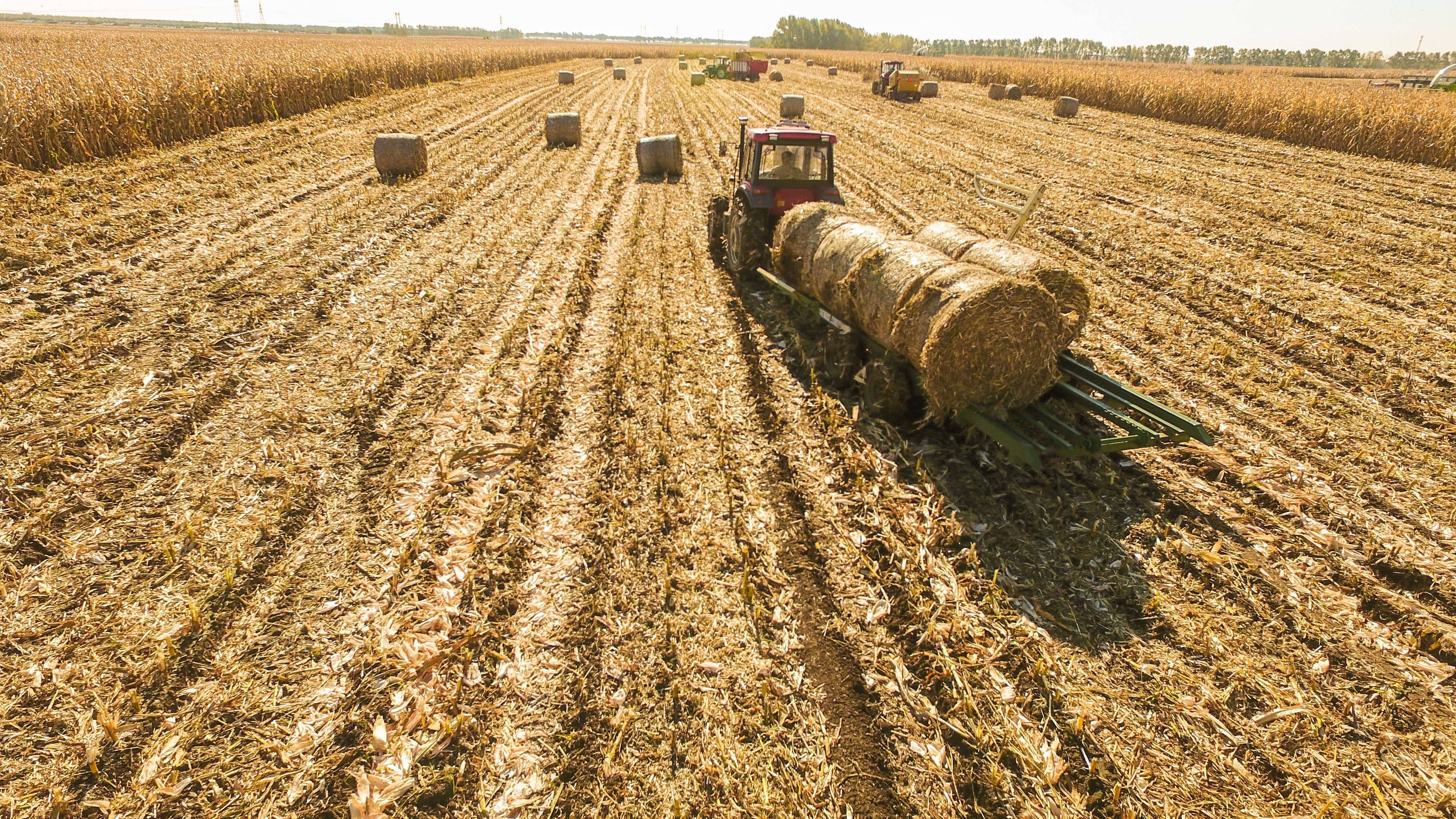 农业农村部发布19种农业补贴，这些条件，看你符合吗？