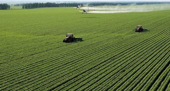 农业农村部发布19种农业补贴，这些条件，看你符合吗？