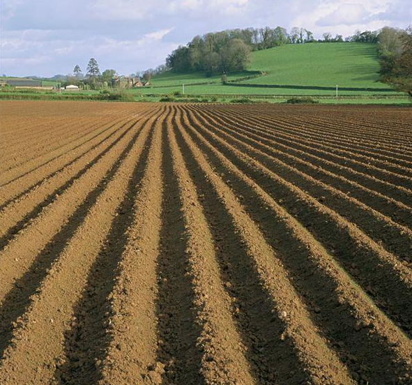 农业农村部发布19种农业补贴，这些条件，看你符合吗？