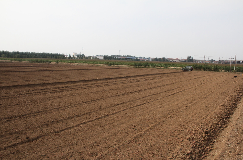 农业农村部发布19种农业补贴，这些条件，看你符合吗？