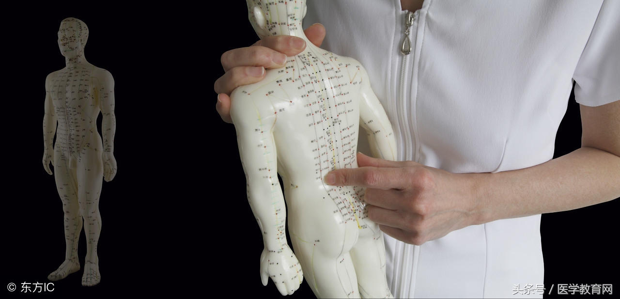 上巨虚的准确位置图片(中医基础) - 赤虎壹号