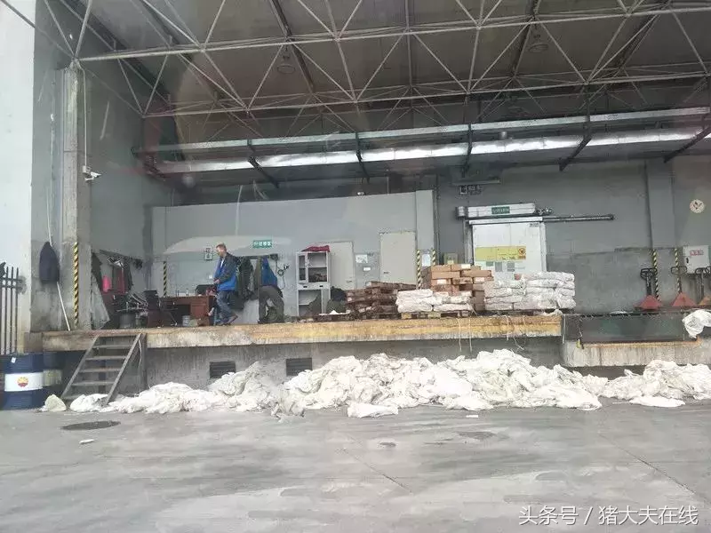 重庆两市场竟有90%商户销售走私冻肉，每日数千吨流向西南各省