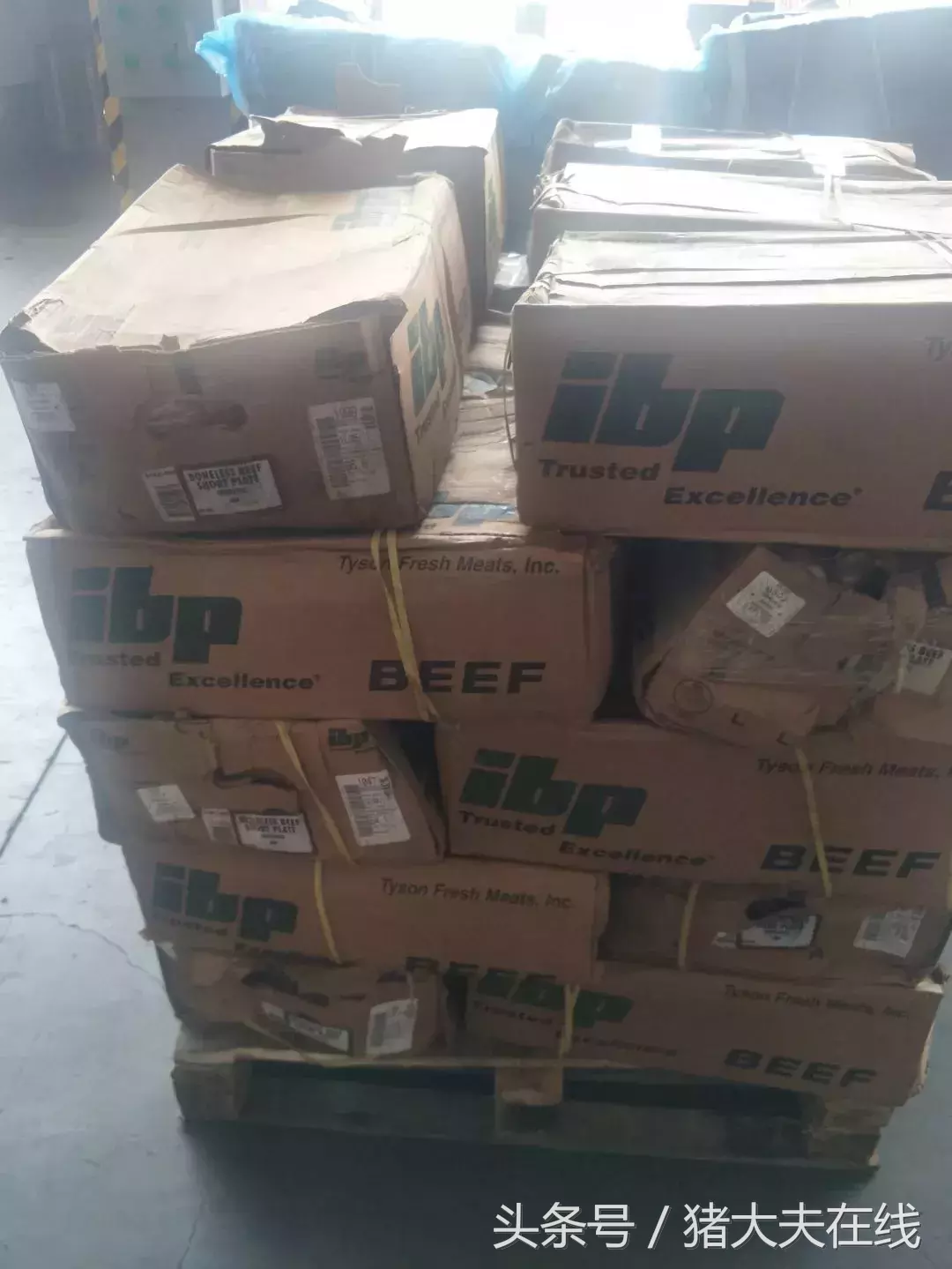 重庆两市场竟有90%商户销售走私冻肉，每日数千吨流向西南各省