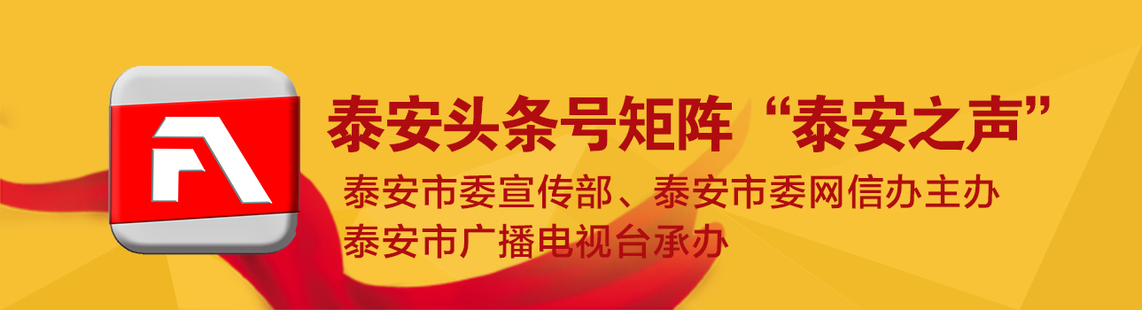 山东省委15个巡视组全部进驻展开巡视 省委第二巡视组巡视泰安市及肥城市、宁阳县（附具体联系方式）