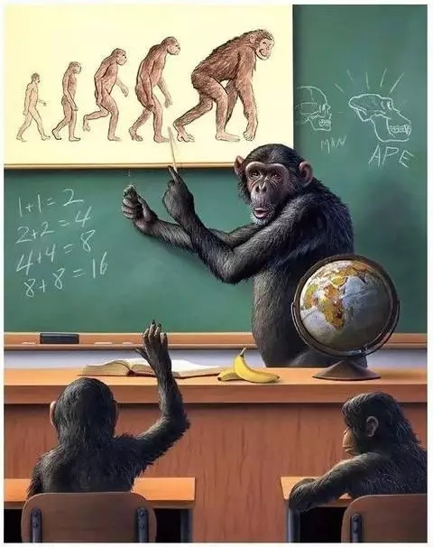 換位（太深刻了）