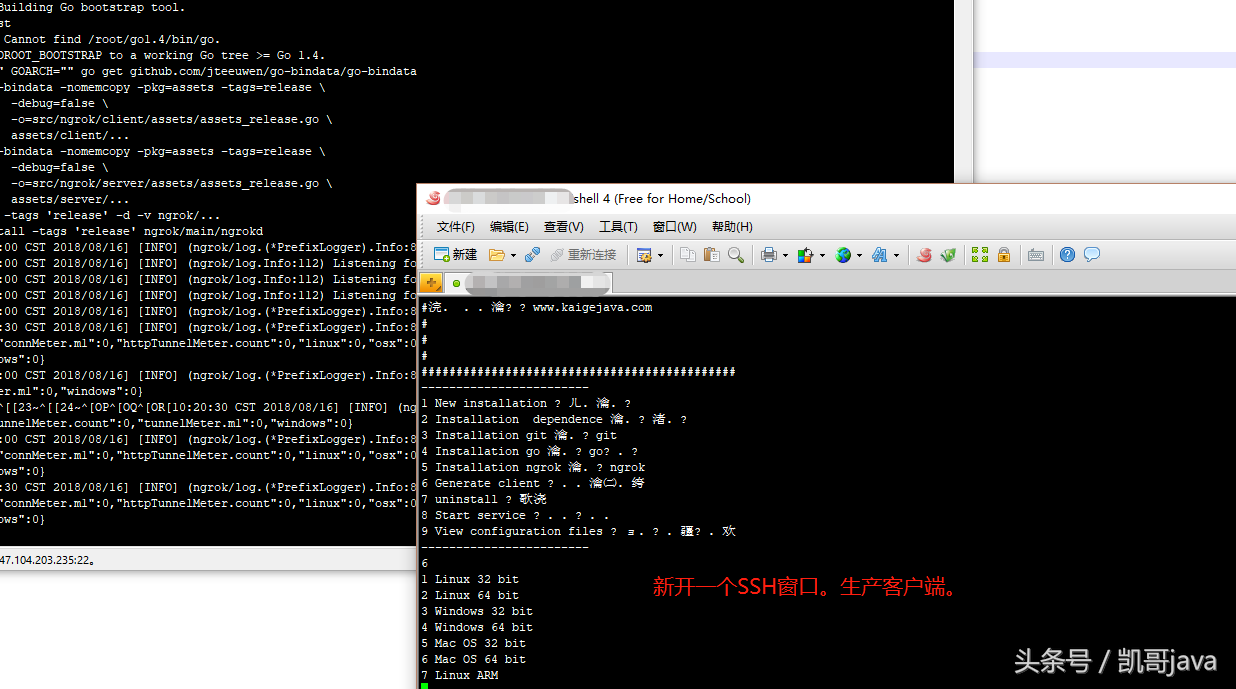 內(nèi)網(wǎng)穿透利器-ngrok的圖文安裝