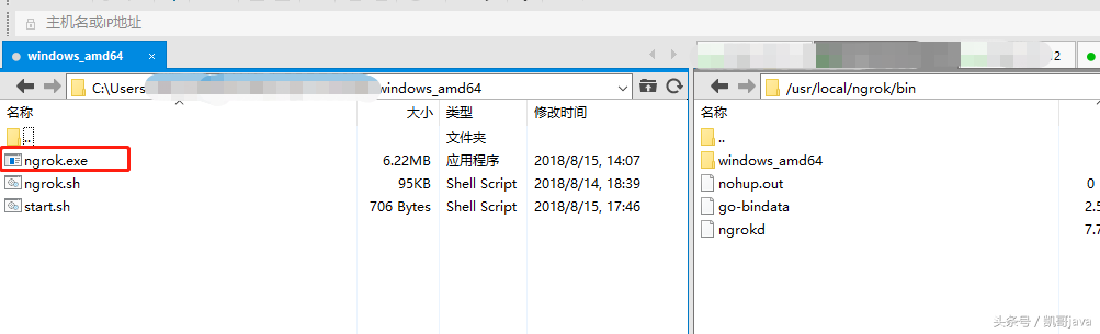 內(nèi)網(wǎng)穿透利器-ngrok的圖文安裝