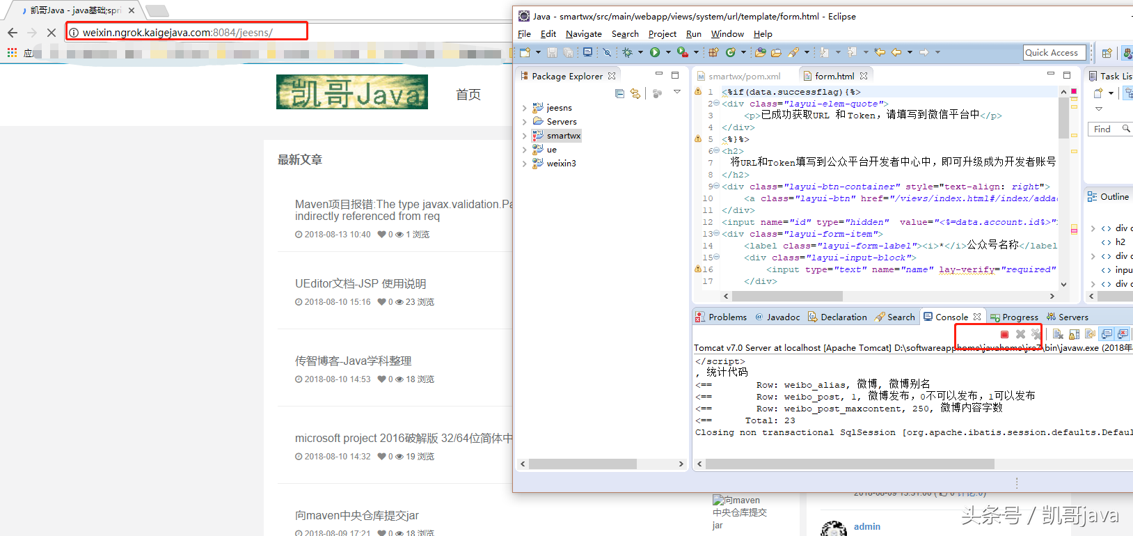 內(nèi)網(wǎng)穿透利器-ngrok的圖文安裝