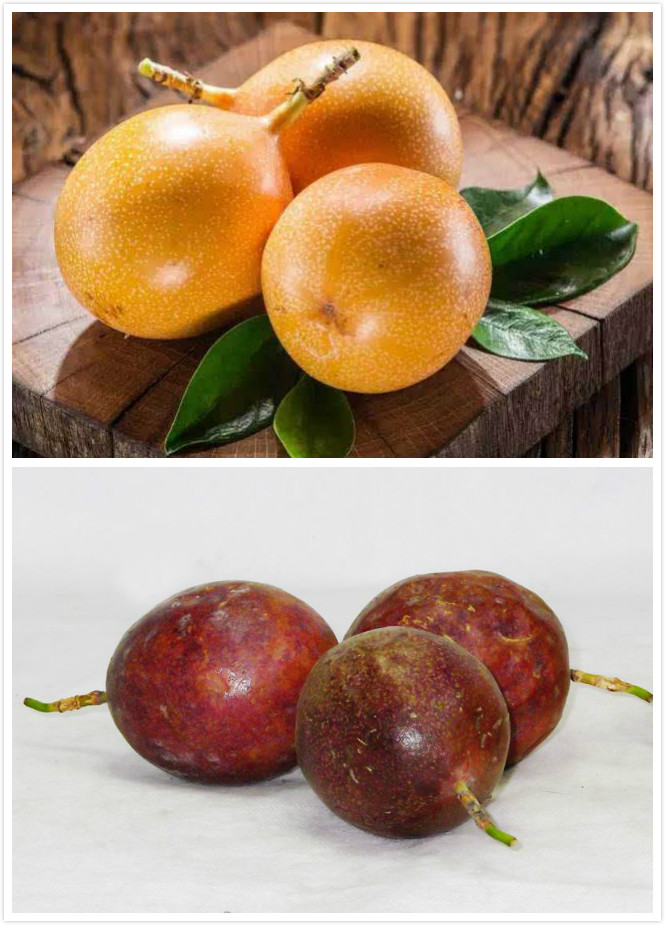 鸡蛋果的功效与作用(有种水果) - 行就行