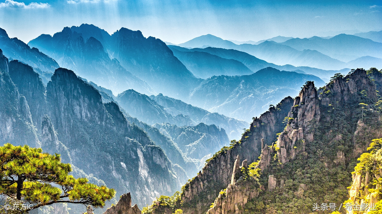 你知道黄山的迎客松是如何保护的吗(黄山迎客松怎么保护)