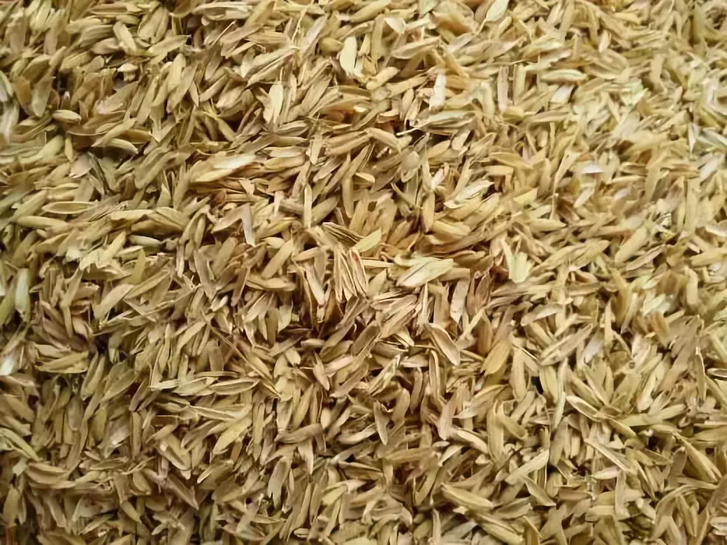 稻壳拌土的不良后果（荞麦皮的好处和使用技巧）