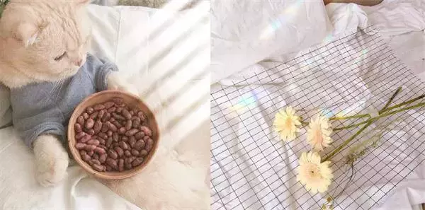 抖音很火的同款拍照（P图）技巧